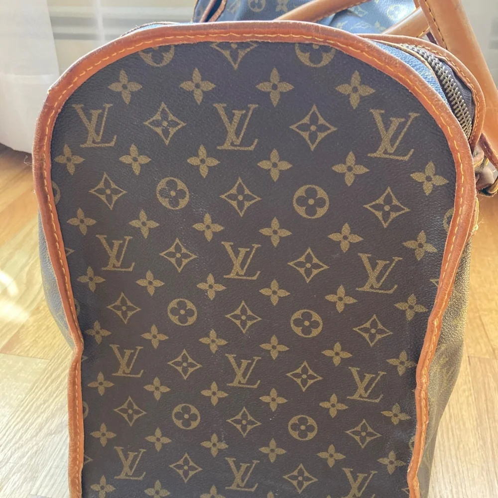 Louis Vuitton Small Dog Carrier